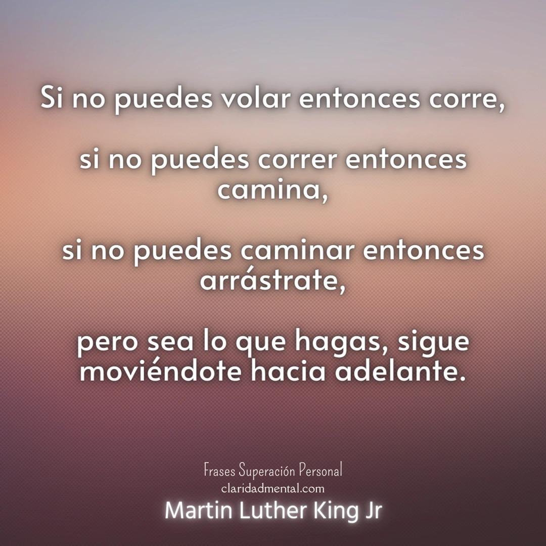 Martin Luther King Jr: Si no puedes volar entonces corre, si no puedes correr entonces camina, si no puedes caminar entonces arrástrate, pero sea lo que hagas, sigue moviéndote hacia adelante.