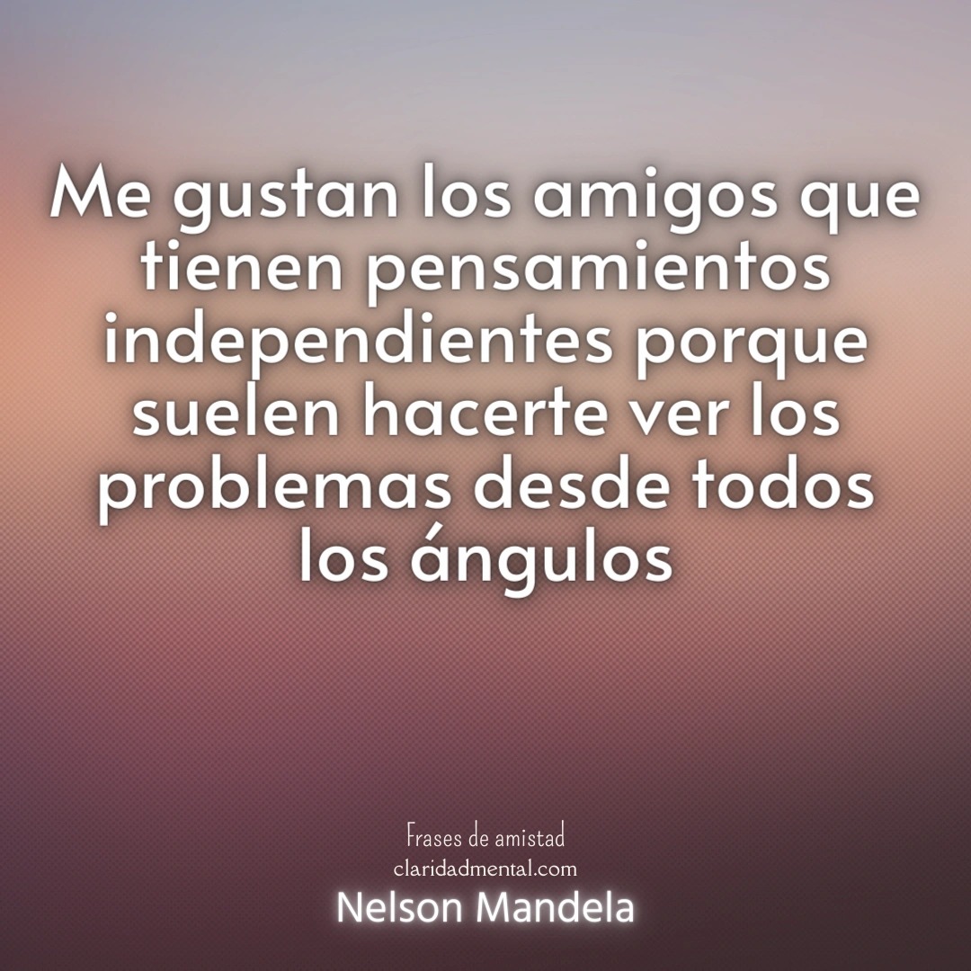 Nelson Mandela: Me gustan los amigos que tienen pensamientos independientes porque suelen hacerte ver los problemas desde todos los ángulos
