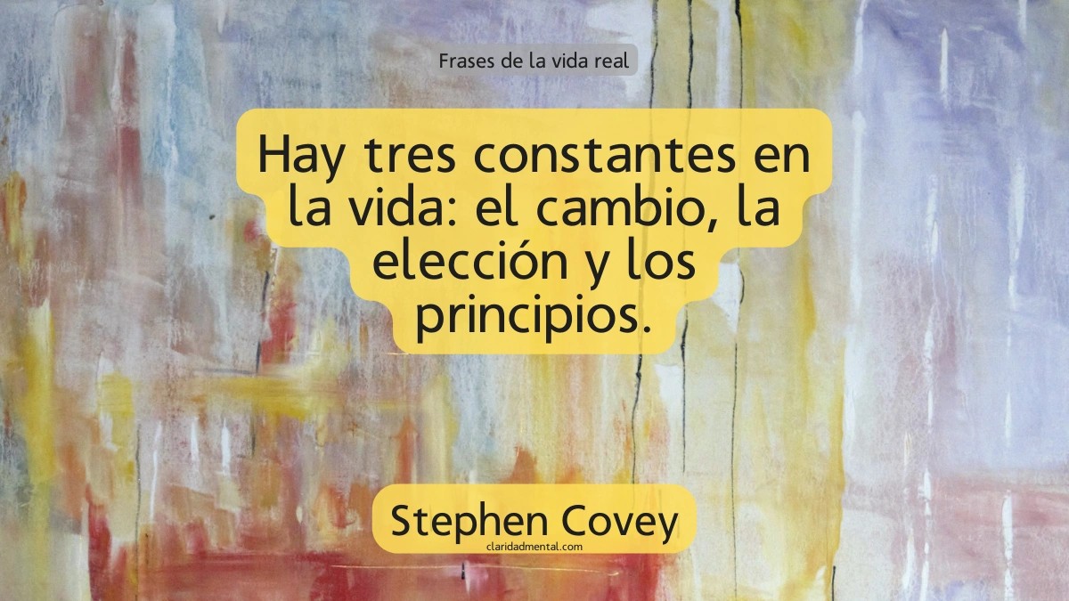 frase de Stephen Covey
